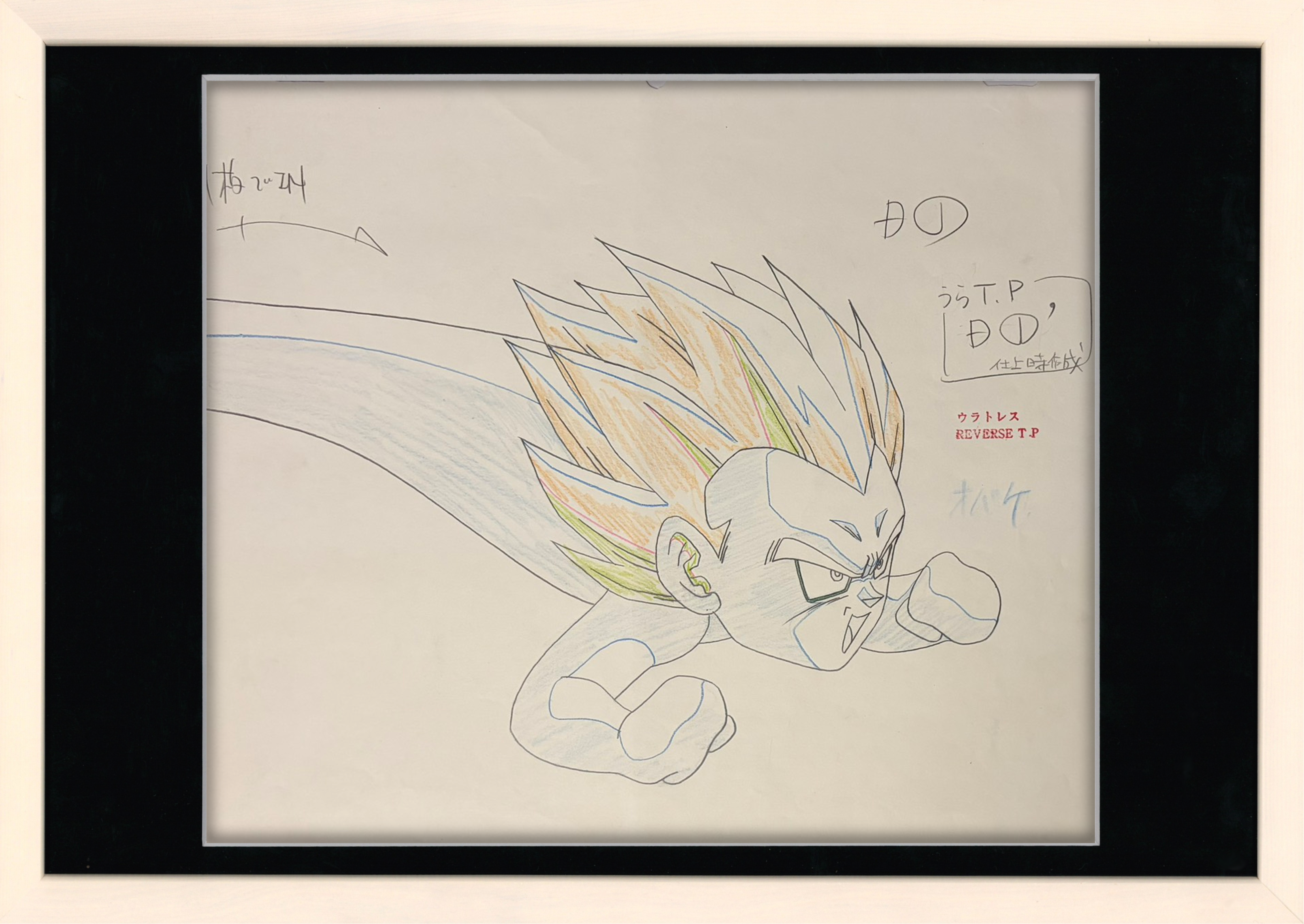 Dragonball Z Original 5 Page Drawing