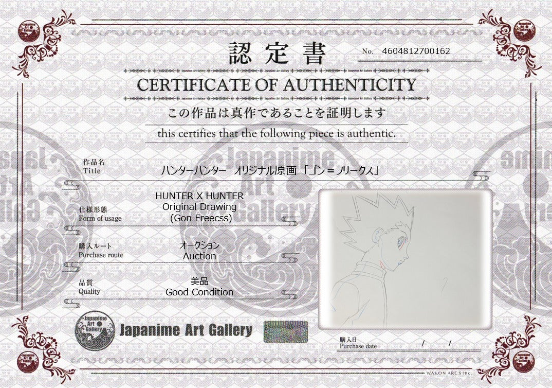 Hunter x Hunter Original Sketch (Gon Freecss)