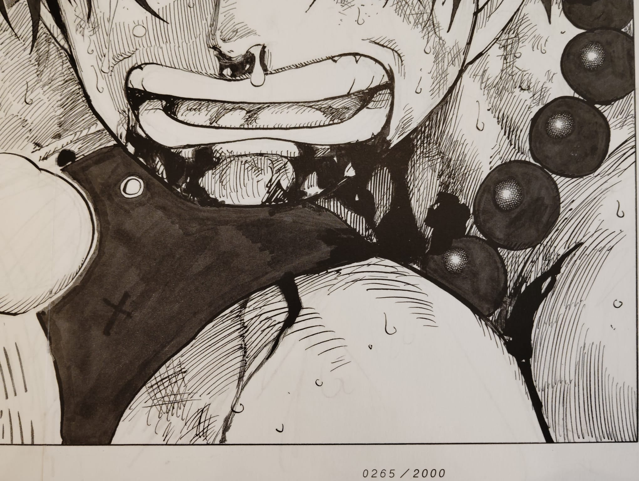 ONE PIECE Numbered Lottery Won Limited Reproduction (Ace Death) 0265/2000