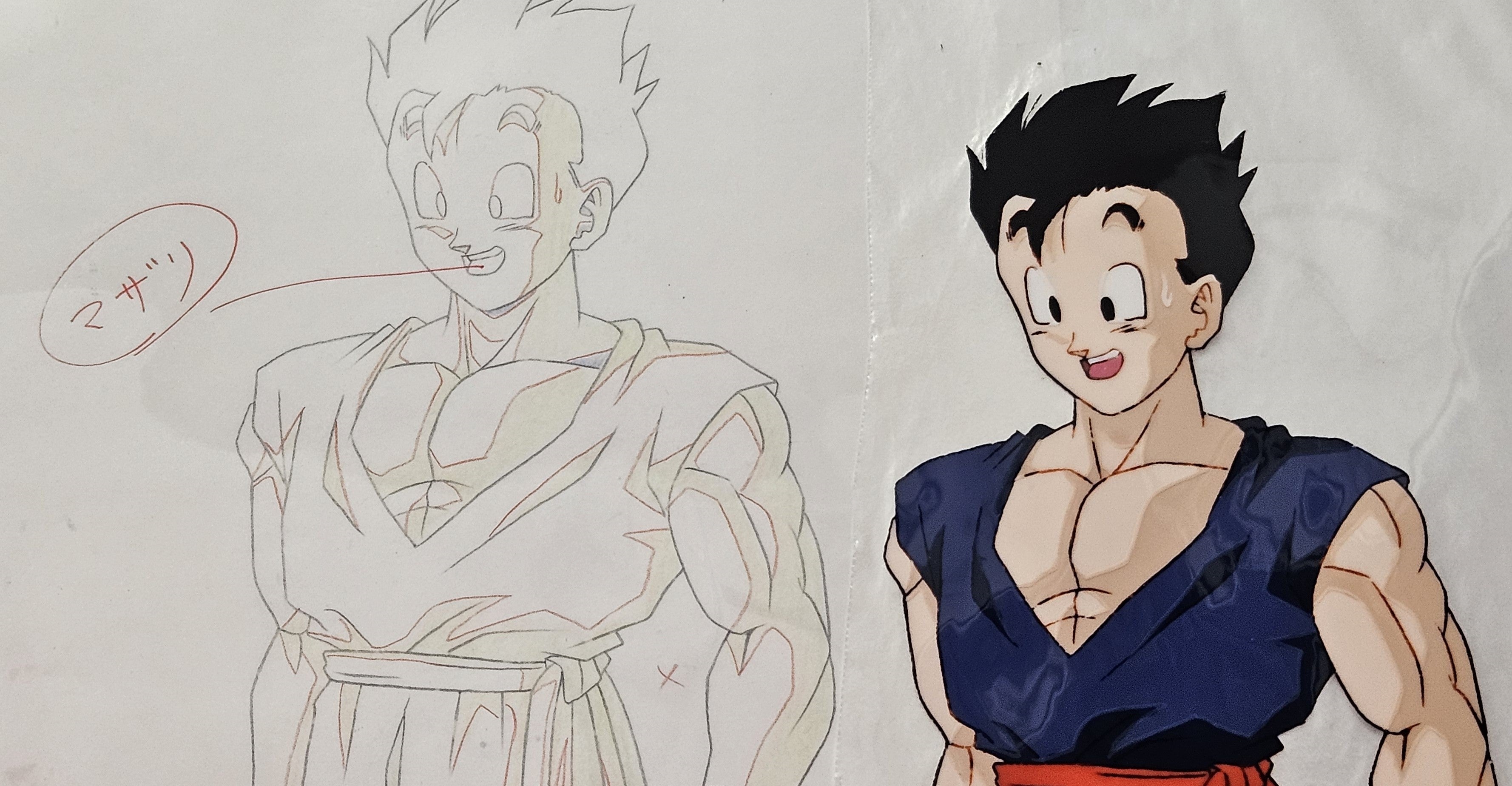Dragonball Original Cel and Sketch (Son Gohan)