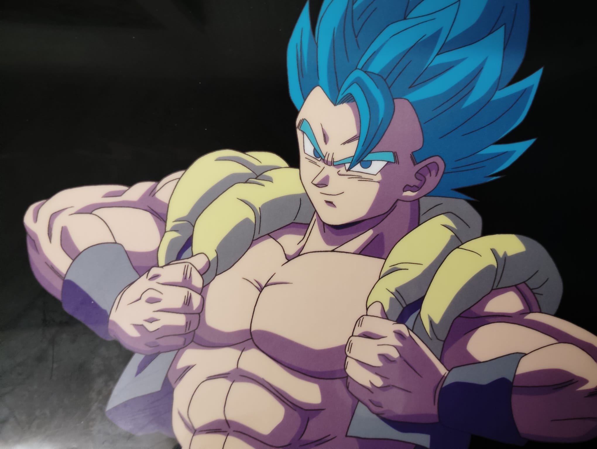 Dragon Ball Limited Reproduction (Gogeta) 2-page set