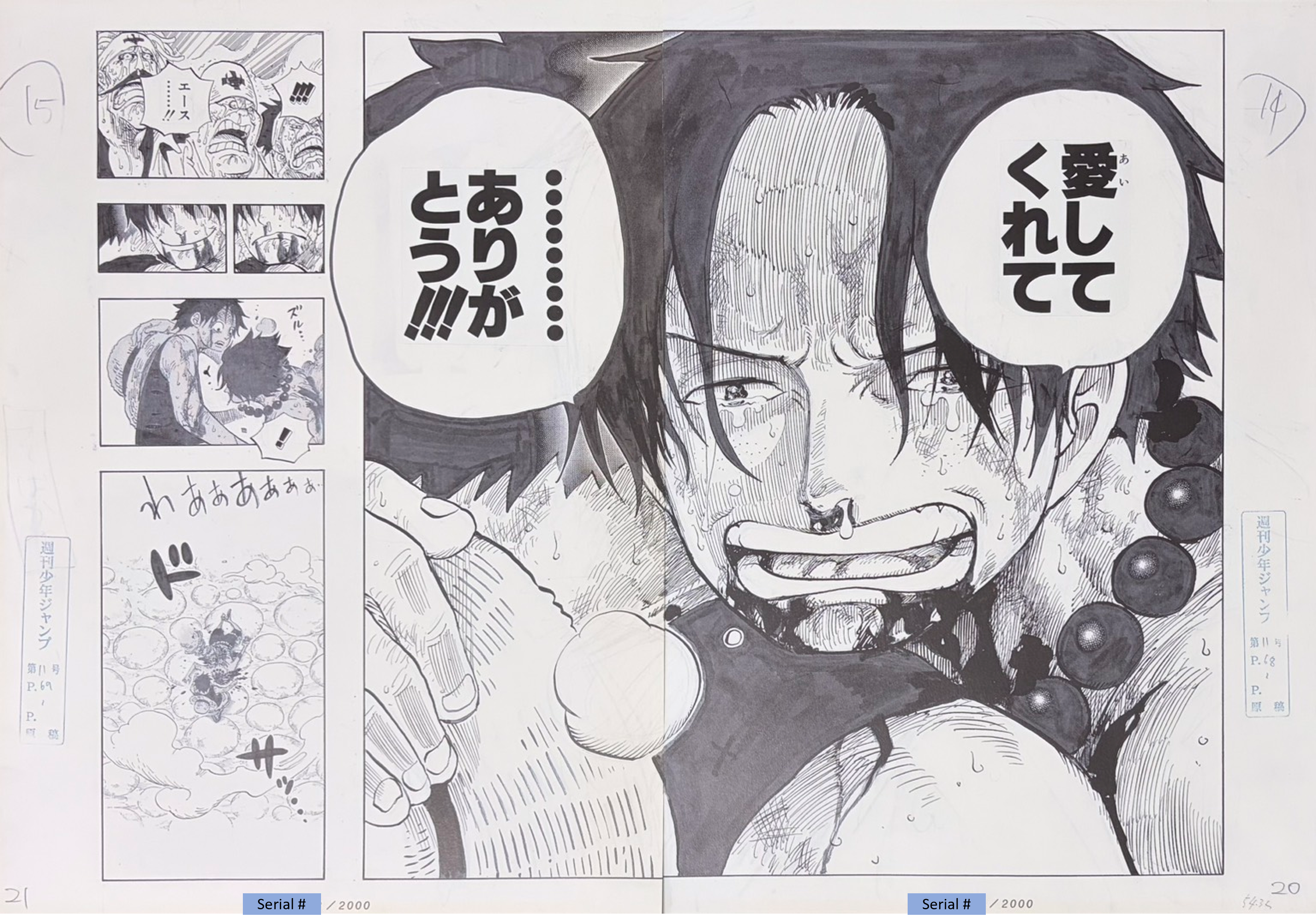 One Piece Numbered Limited Lottery Prize Reproduction (Ace & Luffy)