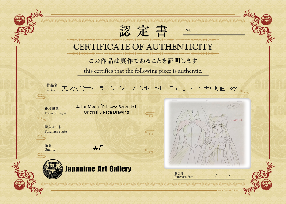 Sailor Moon Original Sketch (Princess Serenity)