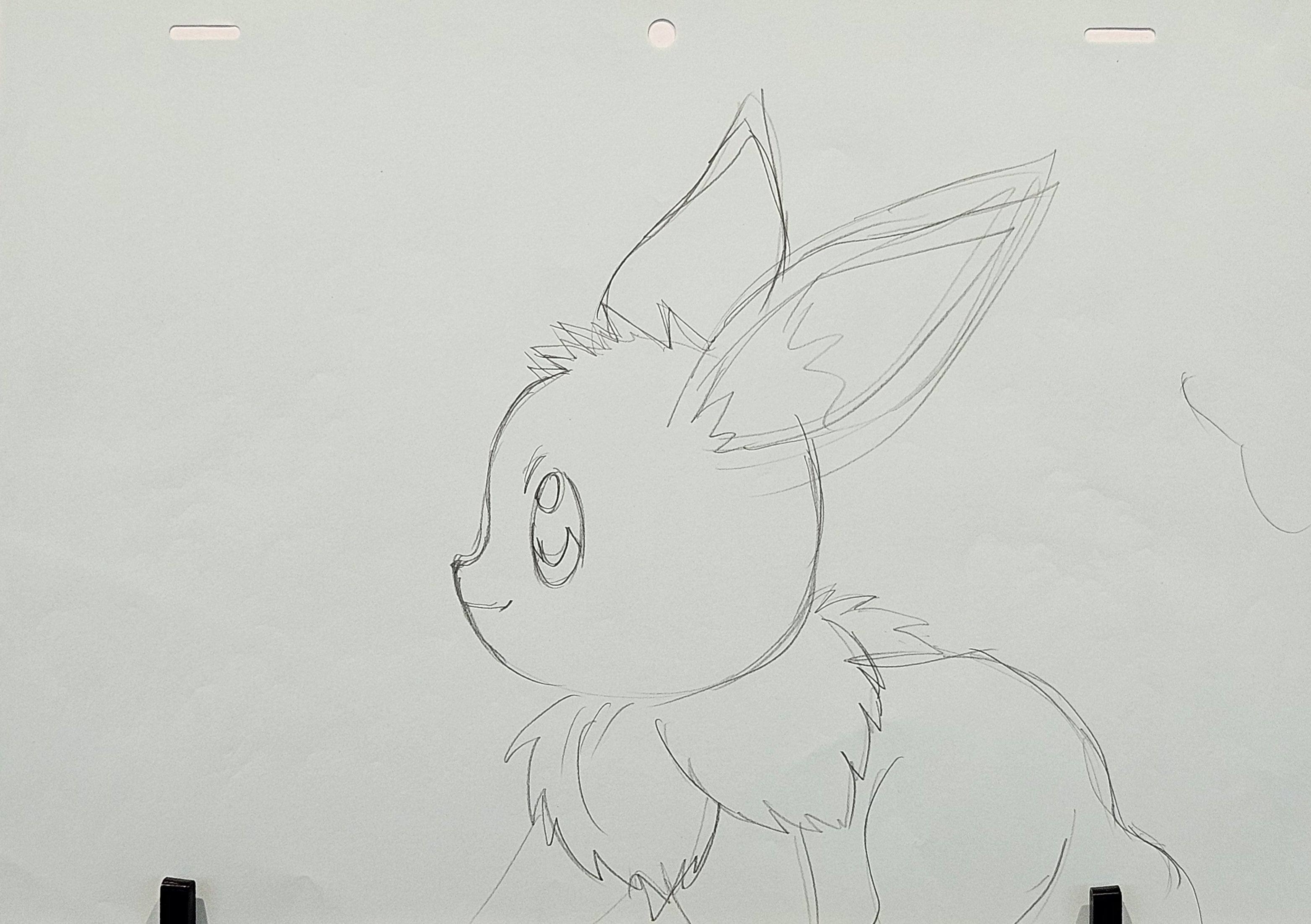 Pokémon Original Sketch (Eevee)
