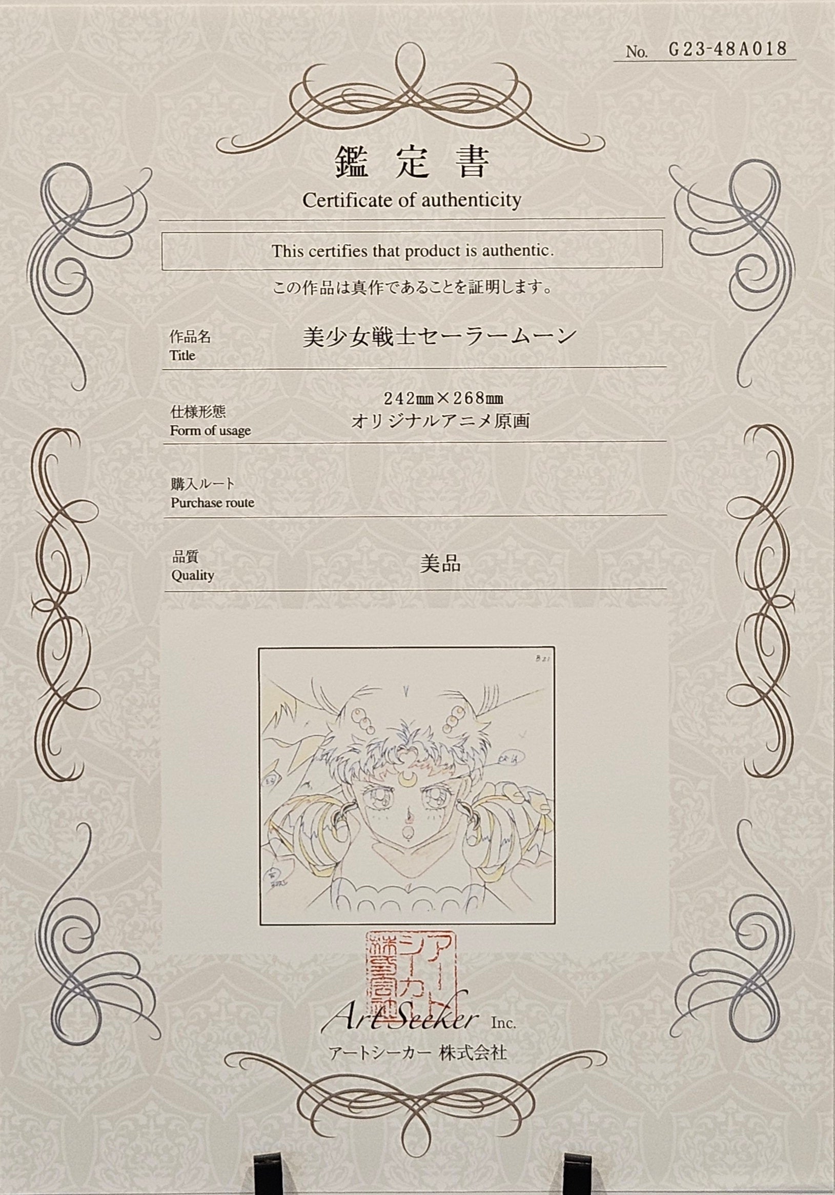 Sailor Moon Original Sketch (Princess Serenity)