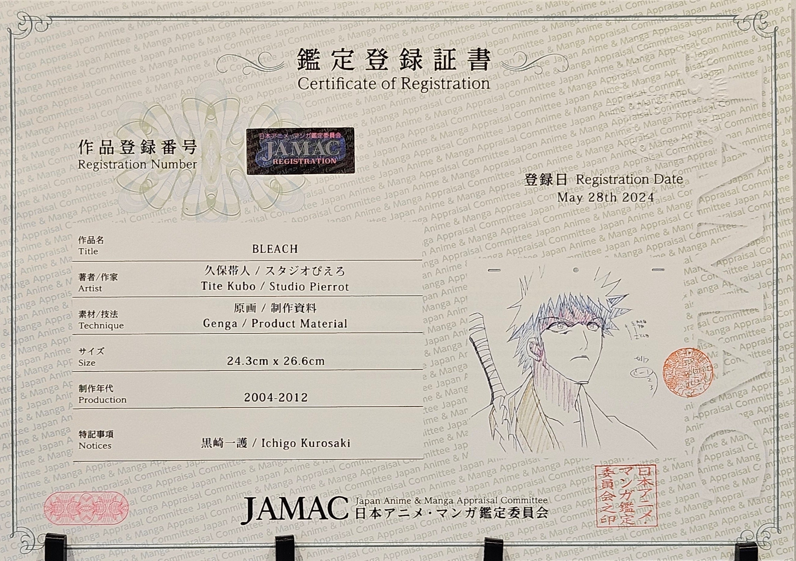 Bleach Original Sketch (Kurosaki Ichigo)