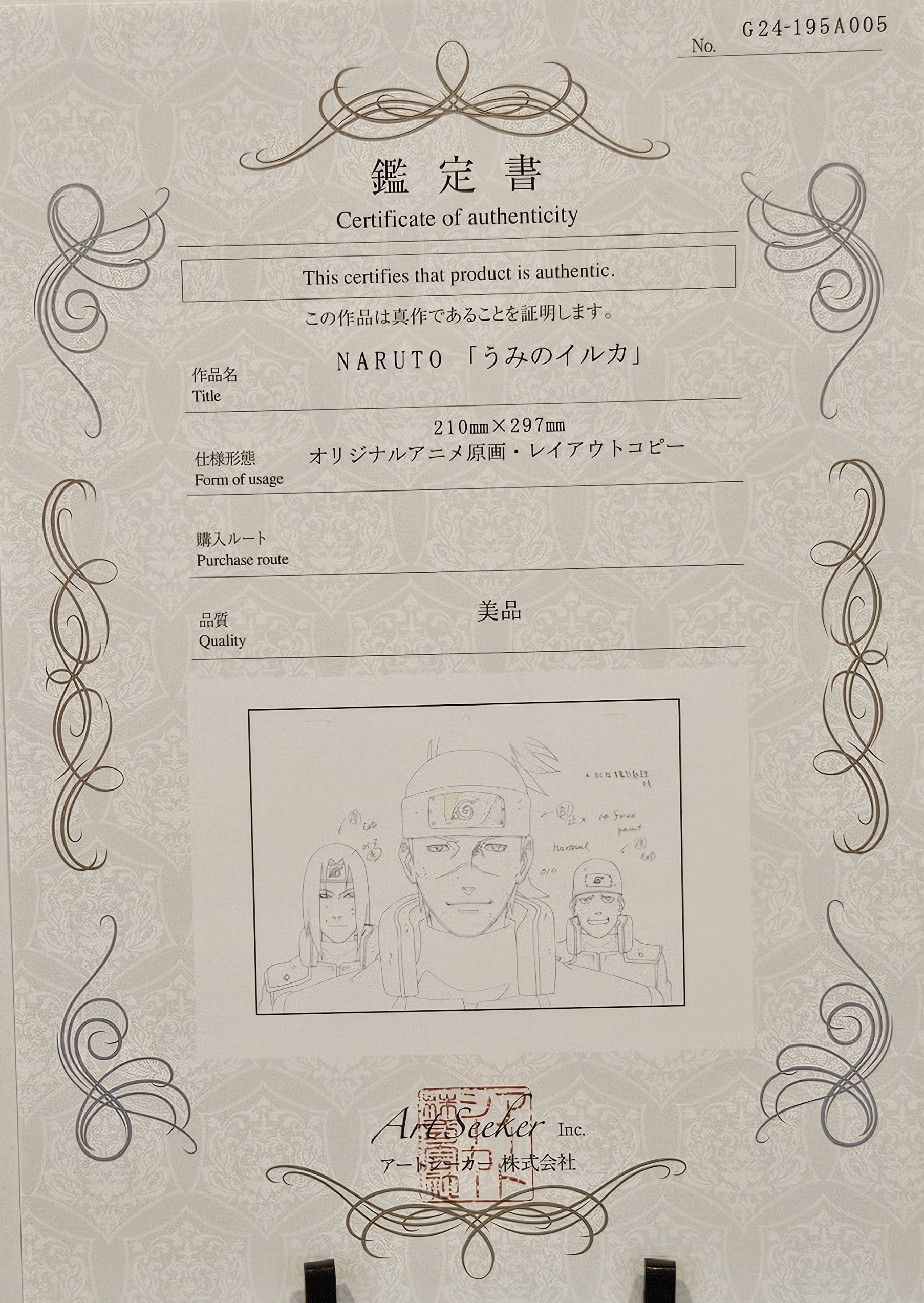 Naruto Original Sketch (Umino Iruka)