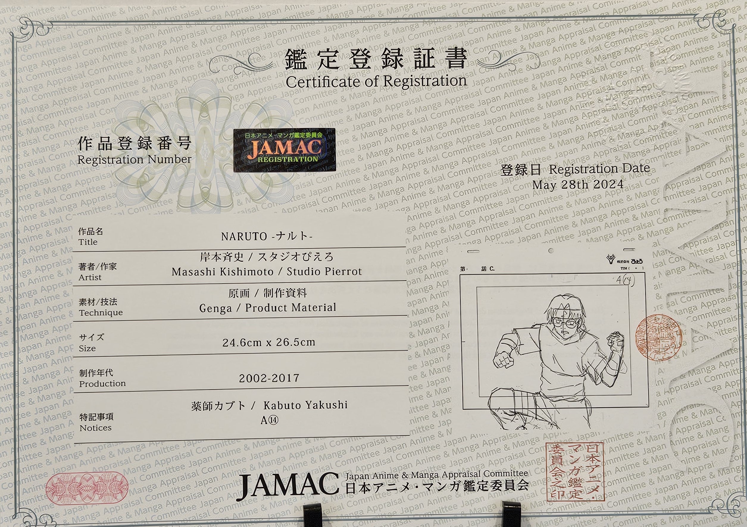 Naruto Original Sketch (Yakushi Kabuto)