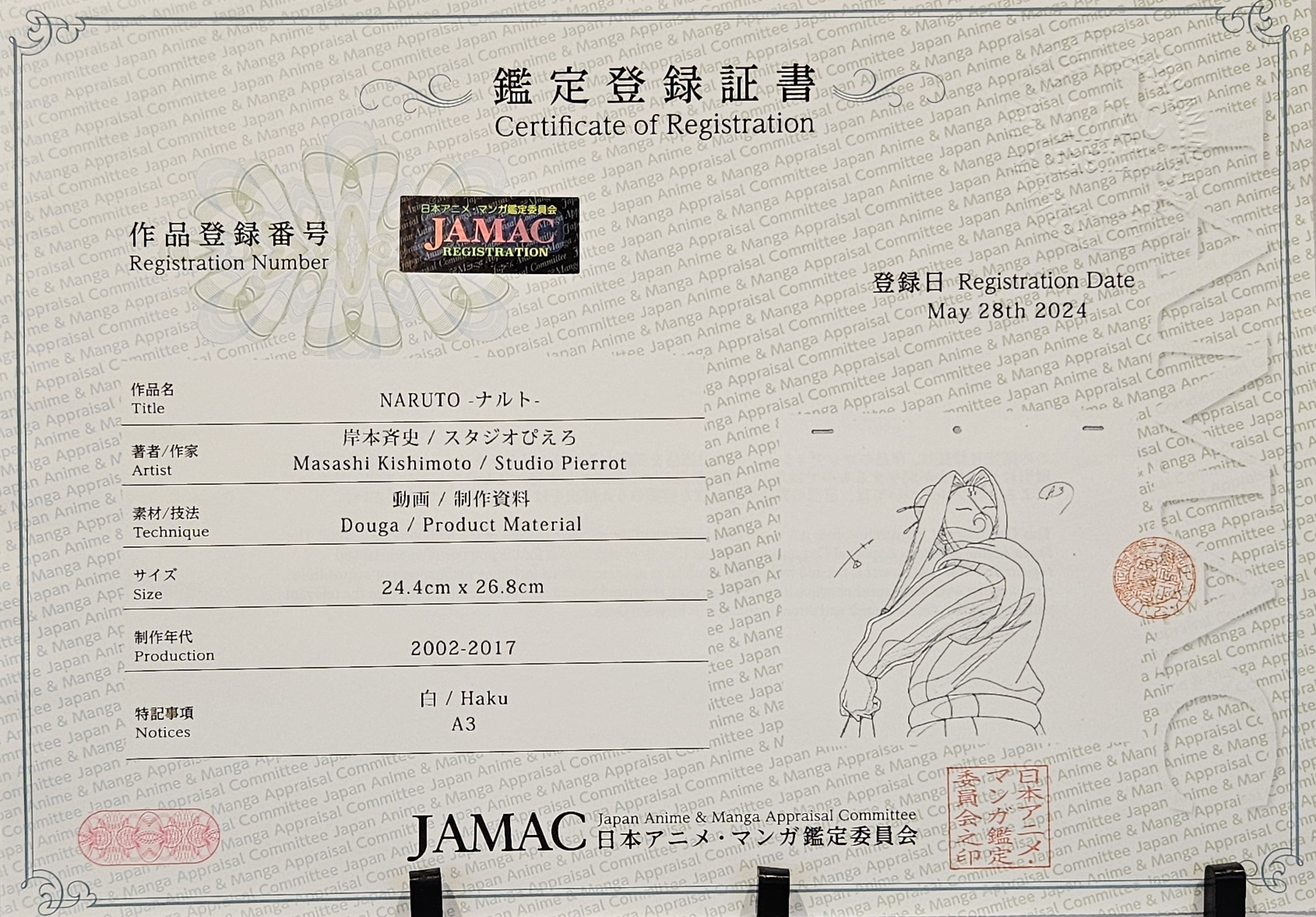 Naruto Original Sketch (Haku)