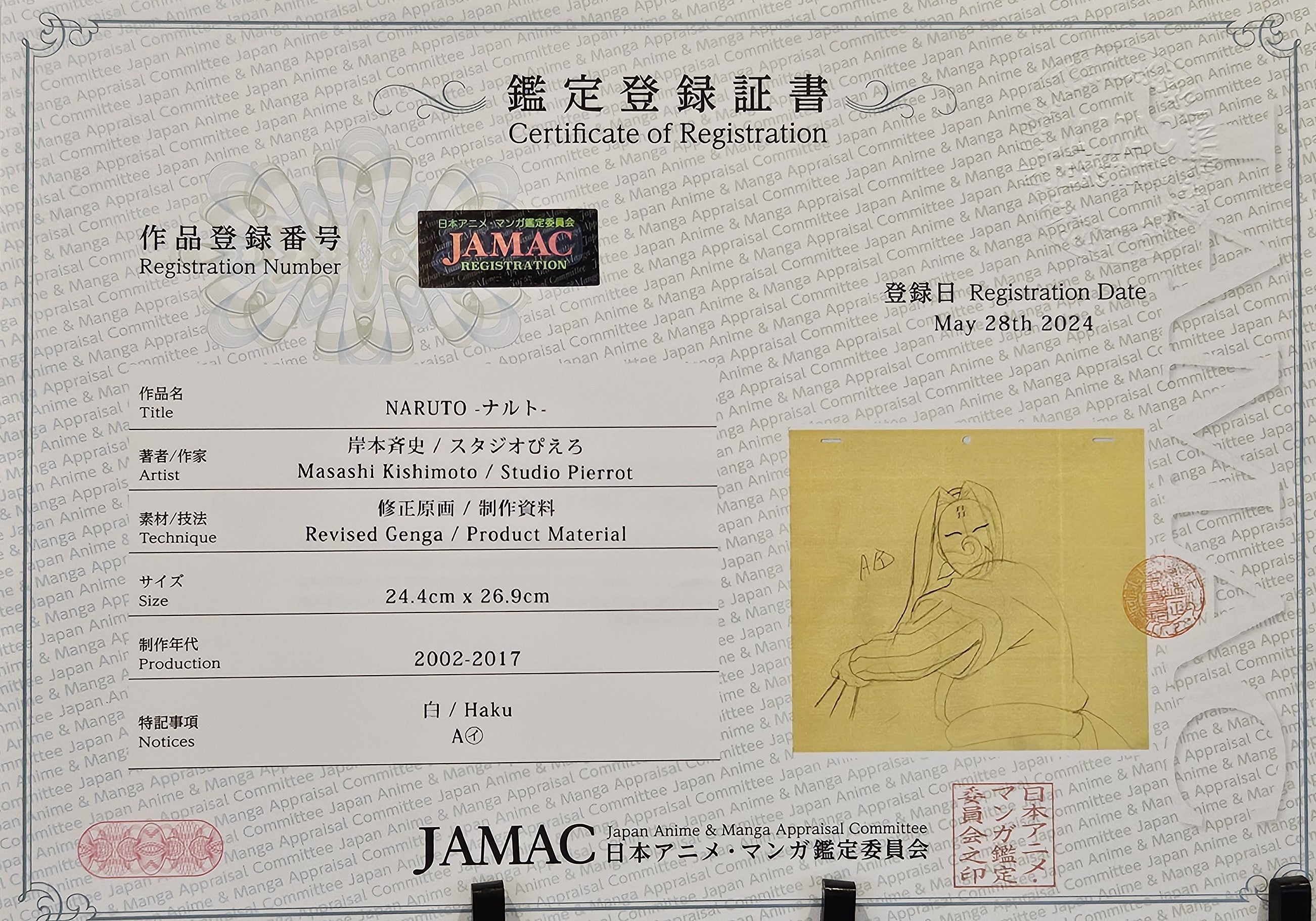 Naruto Original Sketch (Haku)