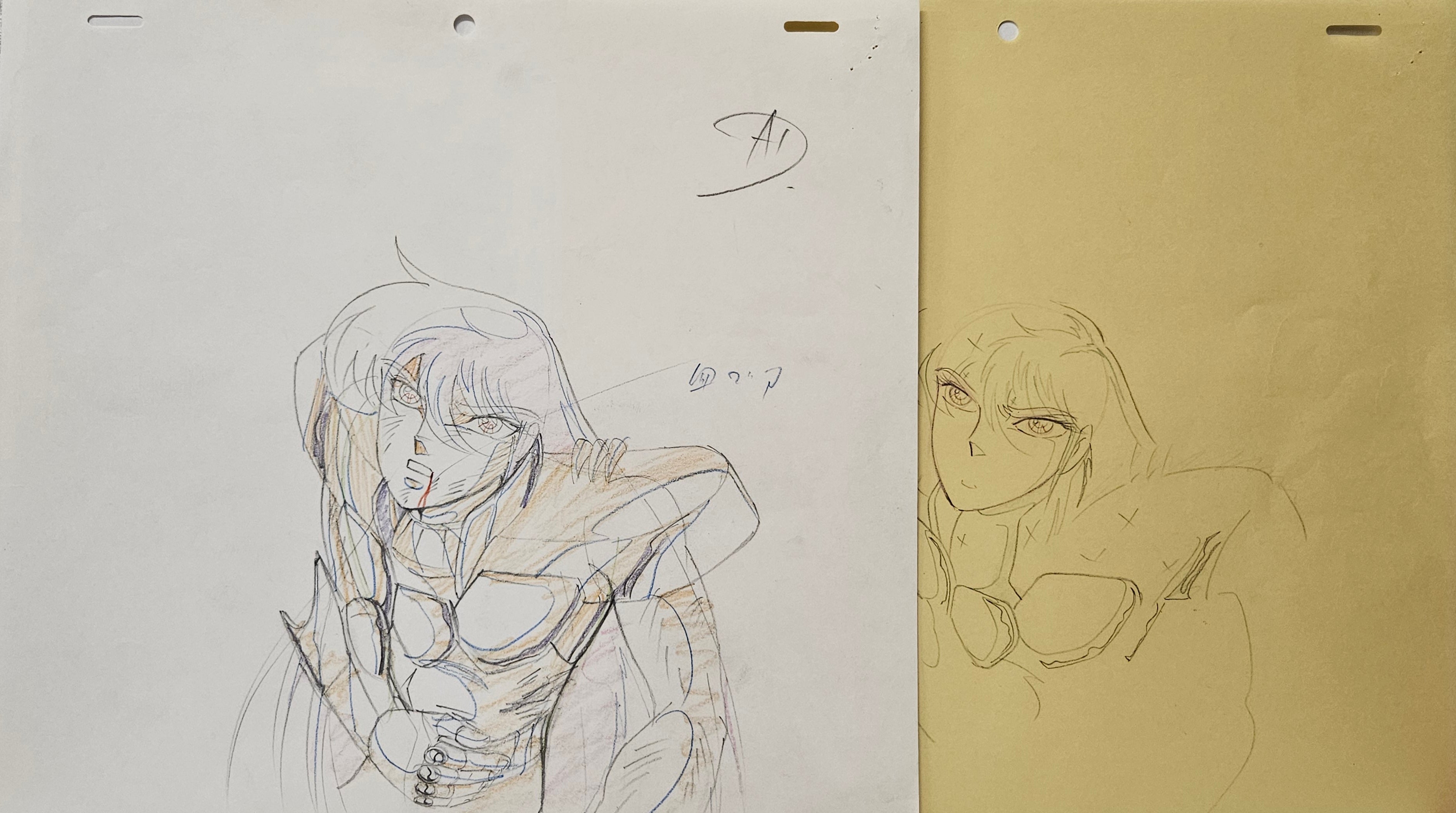 Saint Seiya (Knights of the Zodiac) Original Sketch (Shiryu)