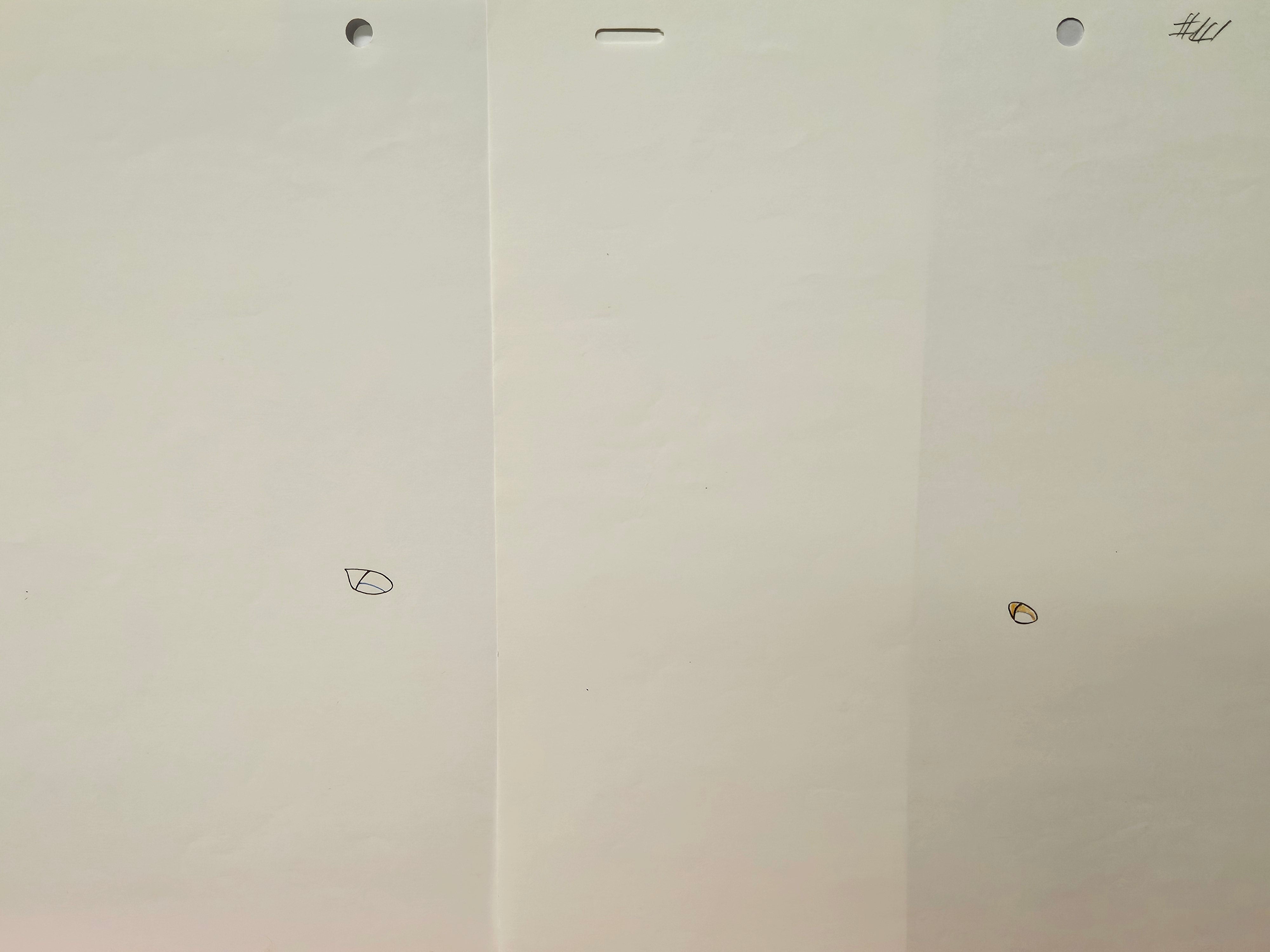 光之战原画（Hikaru）