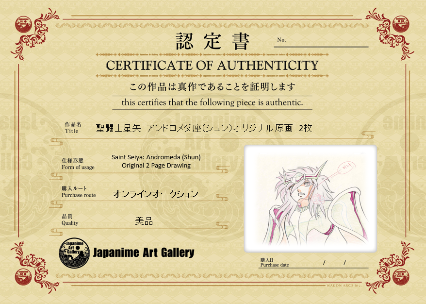 Saint Seiya (Knights of the Zodiac) Original Sketch (Andromeda Shun)