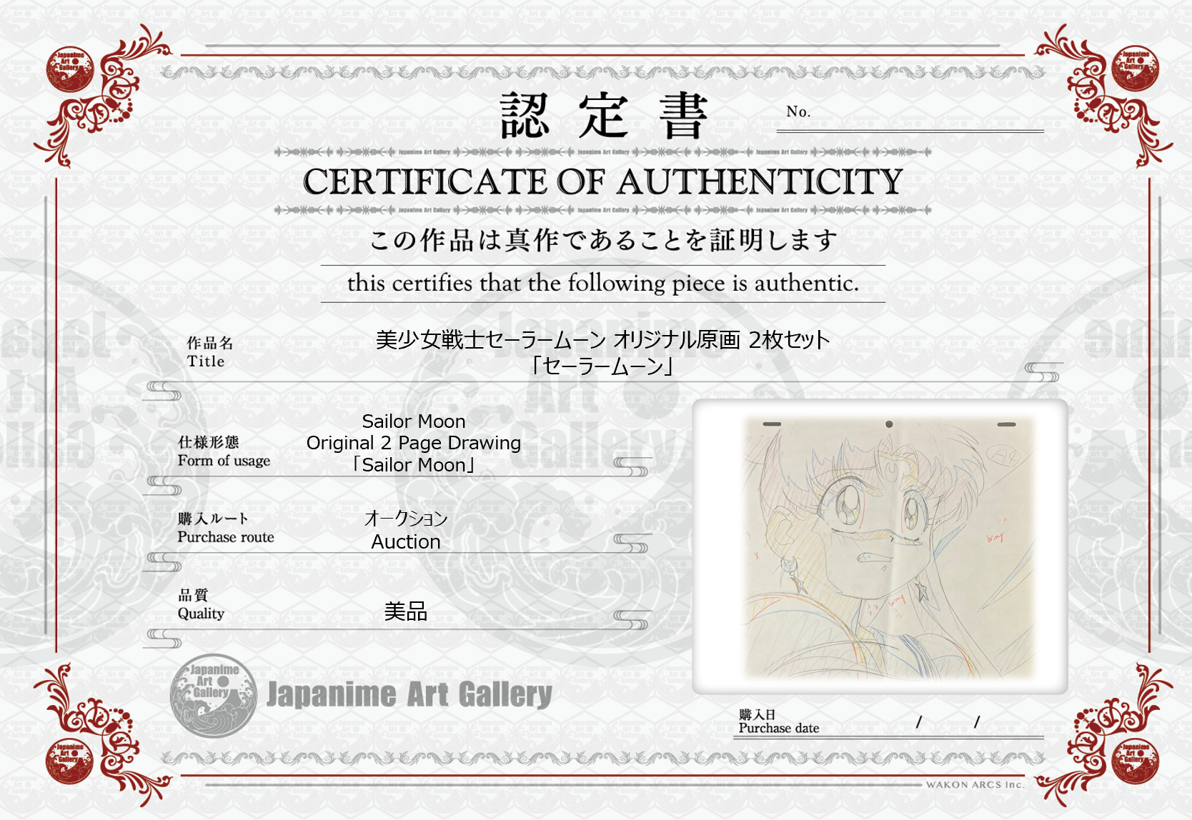 Sailor Moon Original Drawing (Sailor Moon)