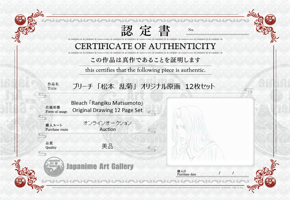 Bleach Original Drawing 12 page set (Rangiku Matsumoto)