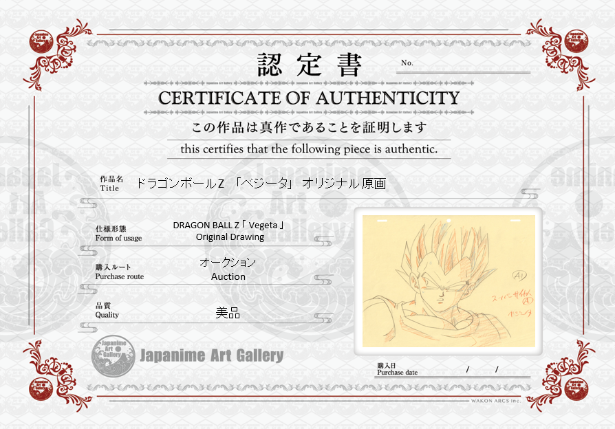 Dragonball Original Drawing (Vegeta)