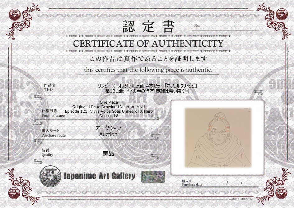 One Piece Original 4 Page Drawing (Vivi)