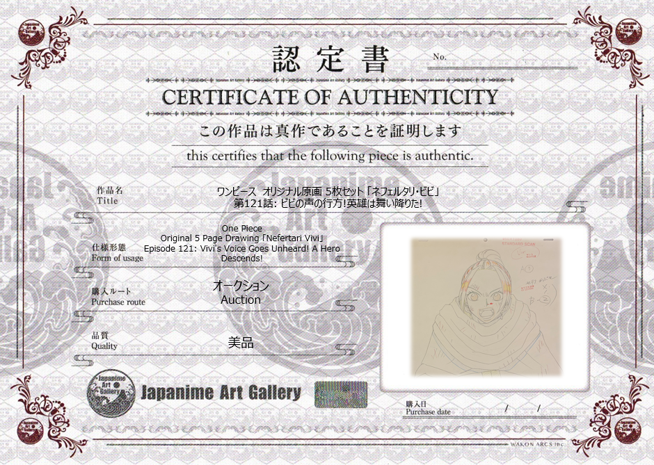 One Piece Original 5 Page Drawing (Vivi)