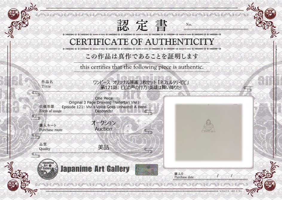 One Piece Original 3 Page Drawing (Vivi)