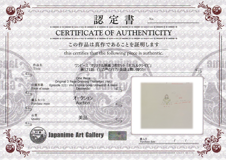 One Piece Original 3 Page Drawing (Vivi)