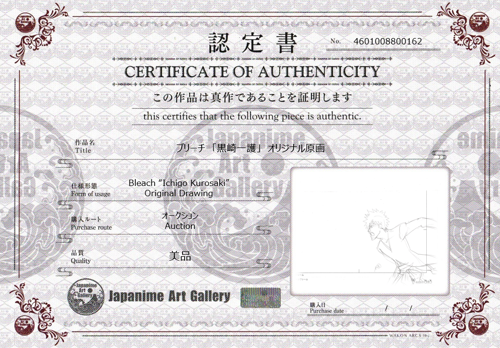 Bleach Original Drawing (Ichigo)