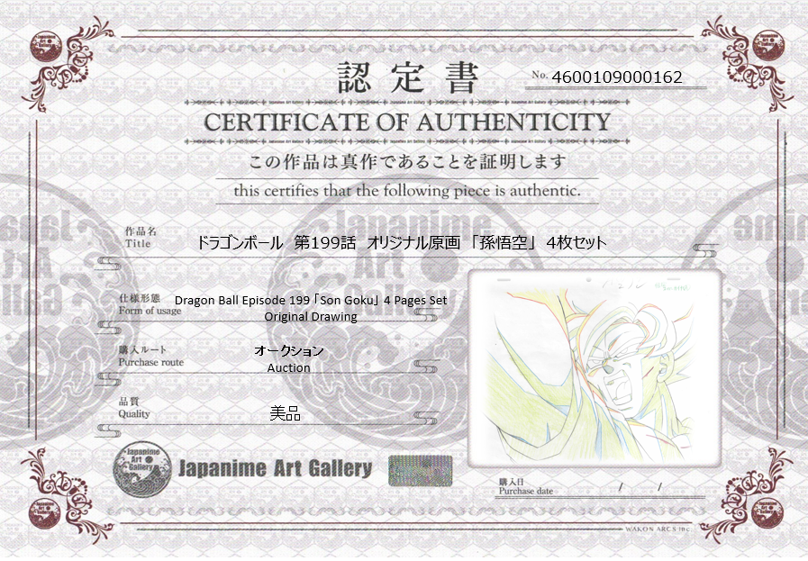 Dragon Ball Original Drawing (Son Goku)