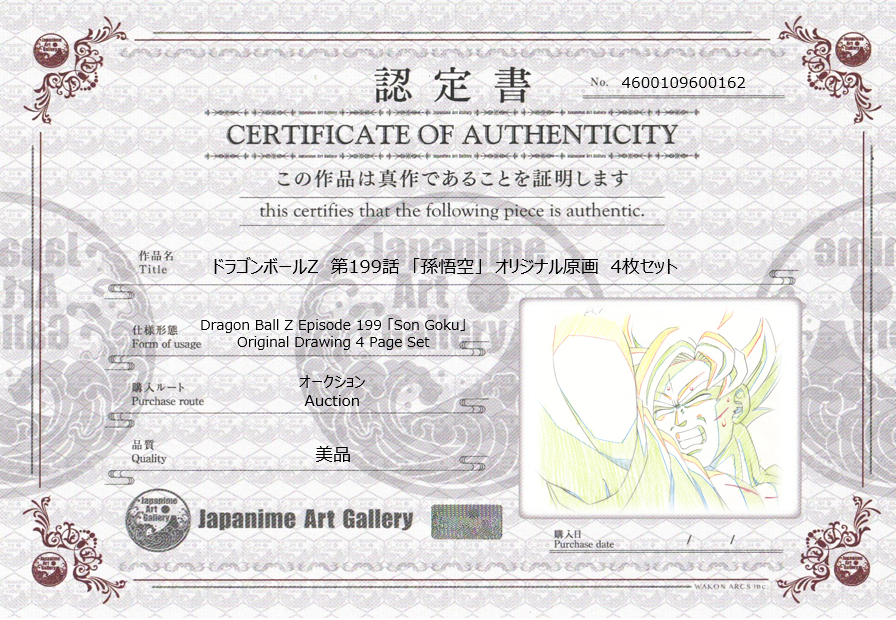 Dragon Ball Z Original Drawing (Son Goku)