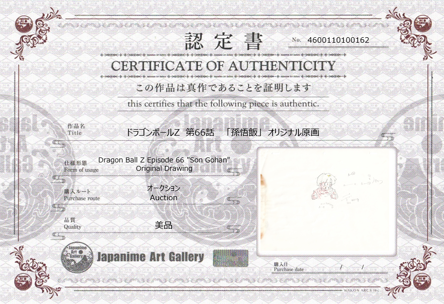 Dragon Ball Z Original Drawing (Son Gohan)