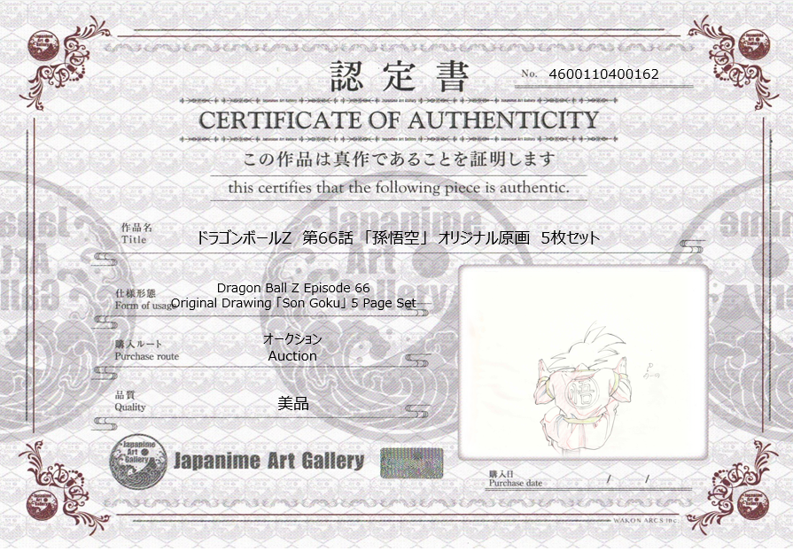 Dragon Ball Z Original Drawing (Son Goku) 5 Page Set