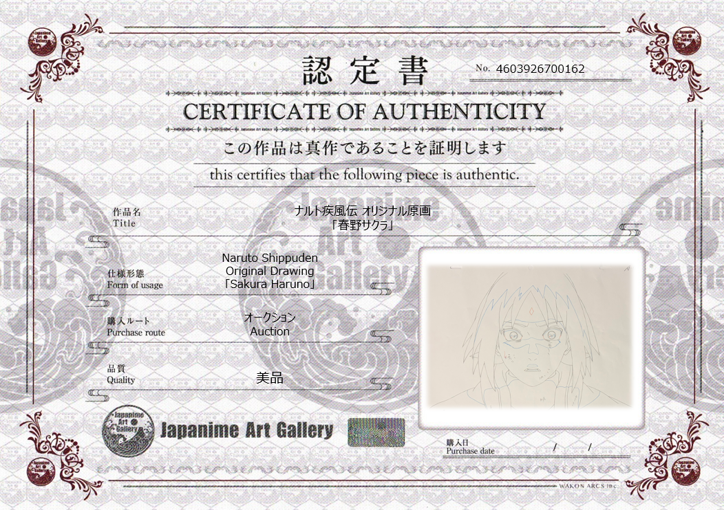 Naruto Shippuden Original Sketch (Sakura Haruno)