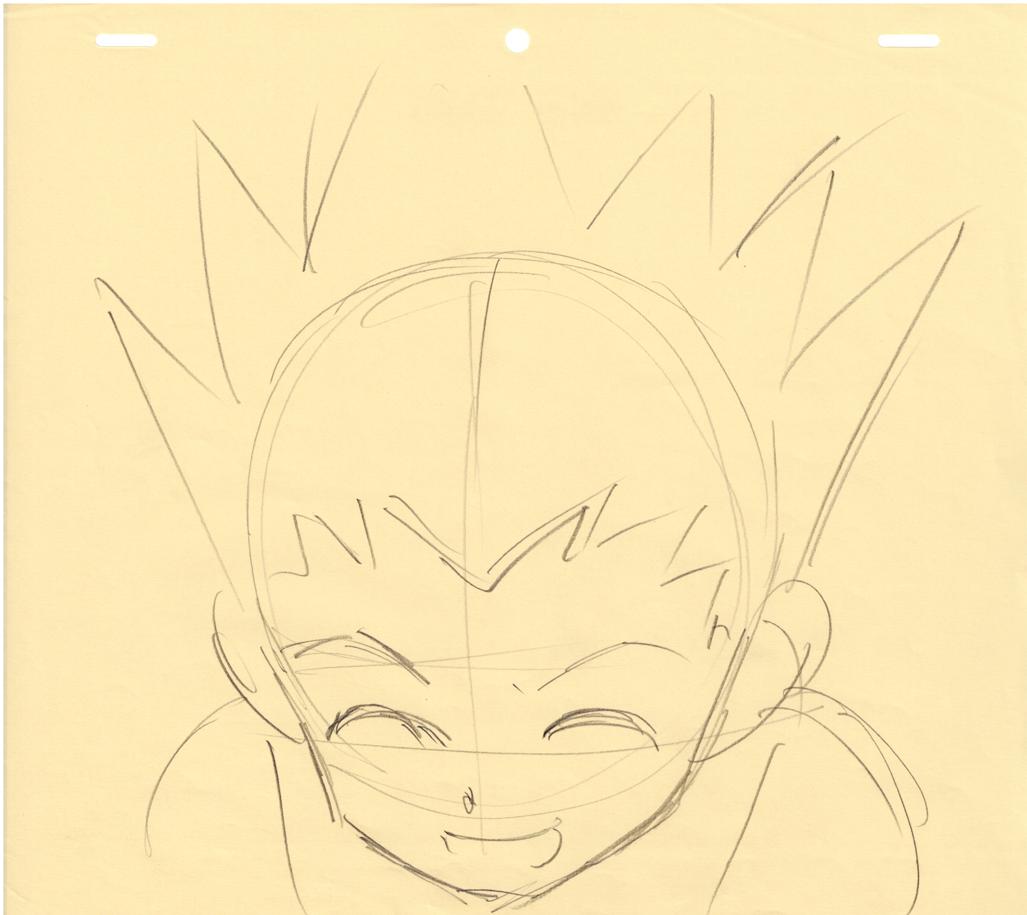 Hunter x Hunter 6 Pages of Original Drawing (Gon)