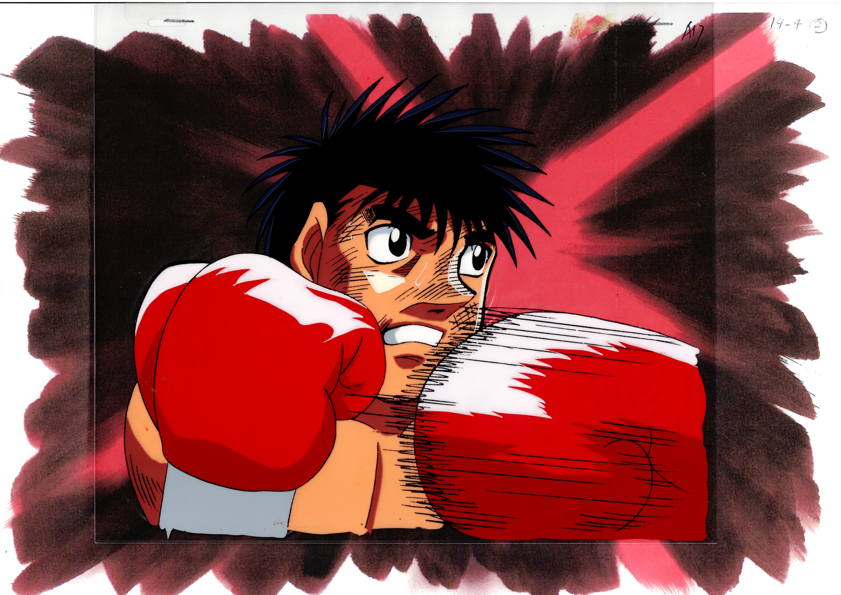 Hajime No Ippo Original Cels and Sketch (Ippo Makunouchi)