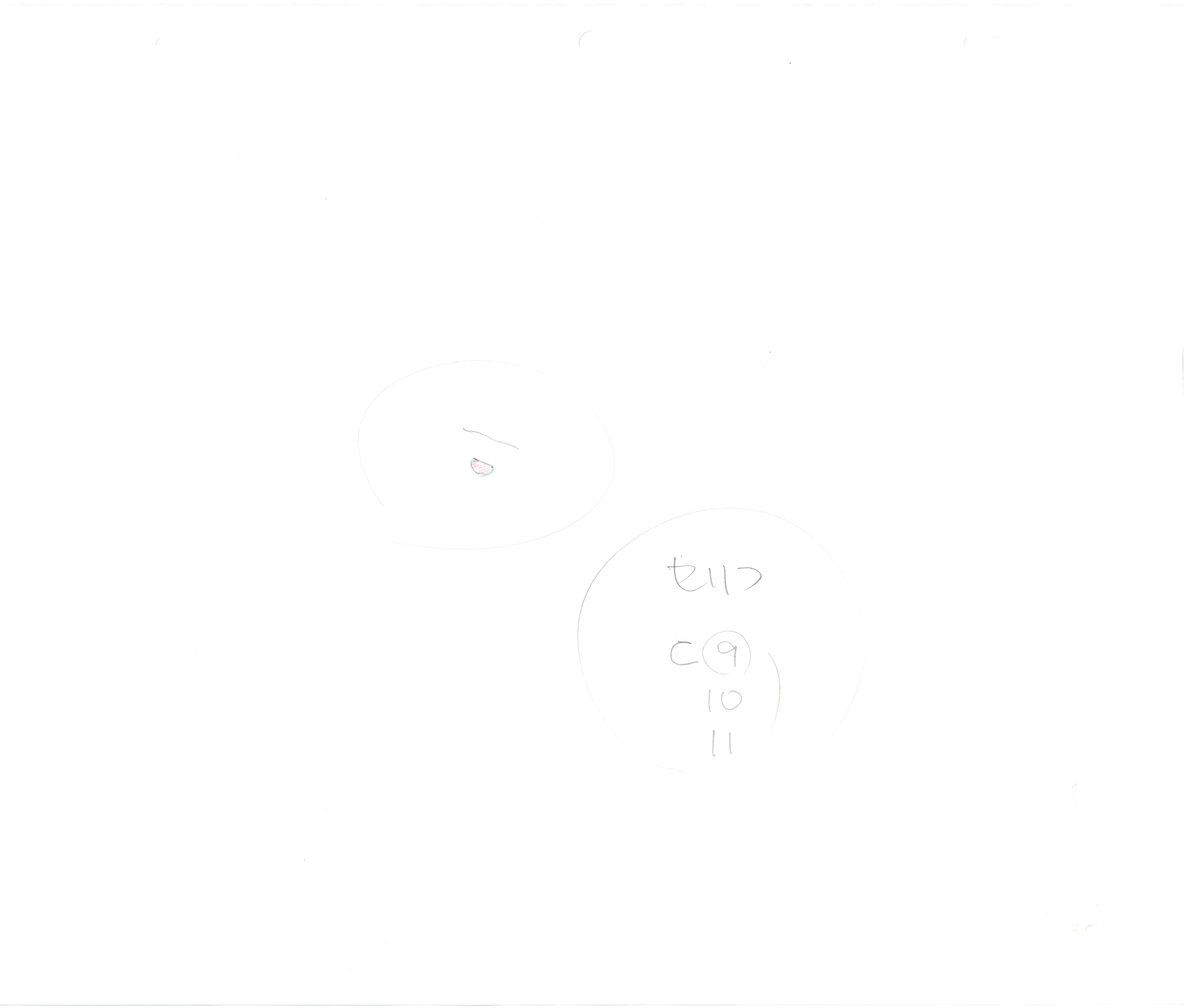 Hajime no Ippo Original Drawing (Ippo Makunouchi, Tatsuya Kimura) 8 pages Set