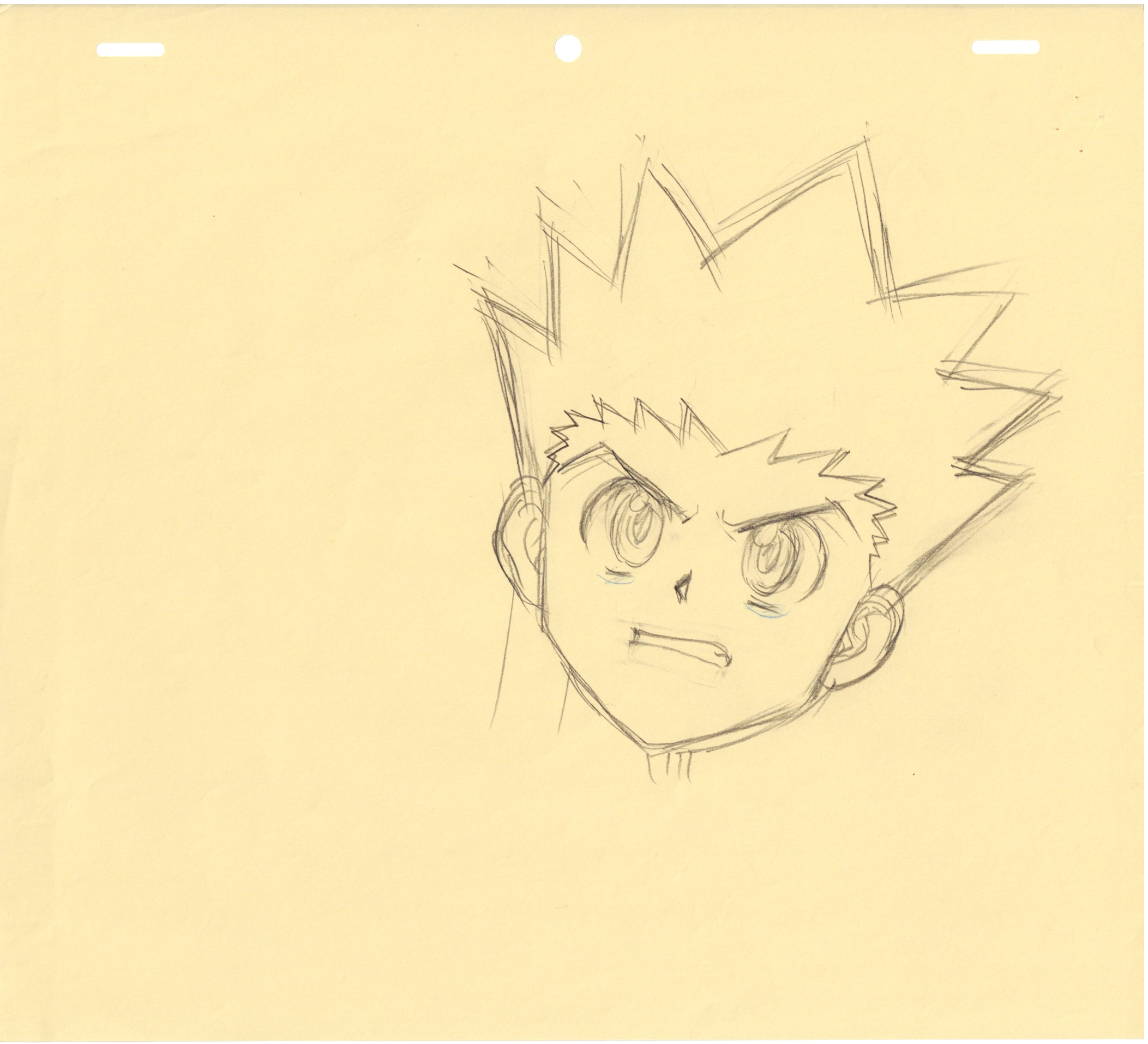 Hunter x Hunter Original Drawing 4 pages Set (Gon)