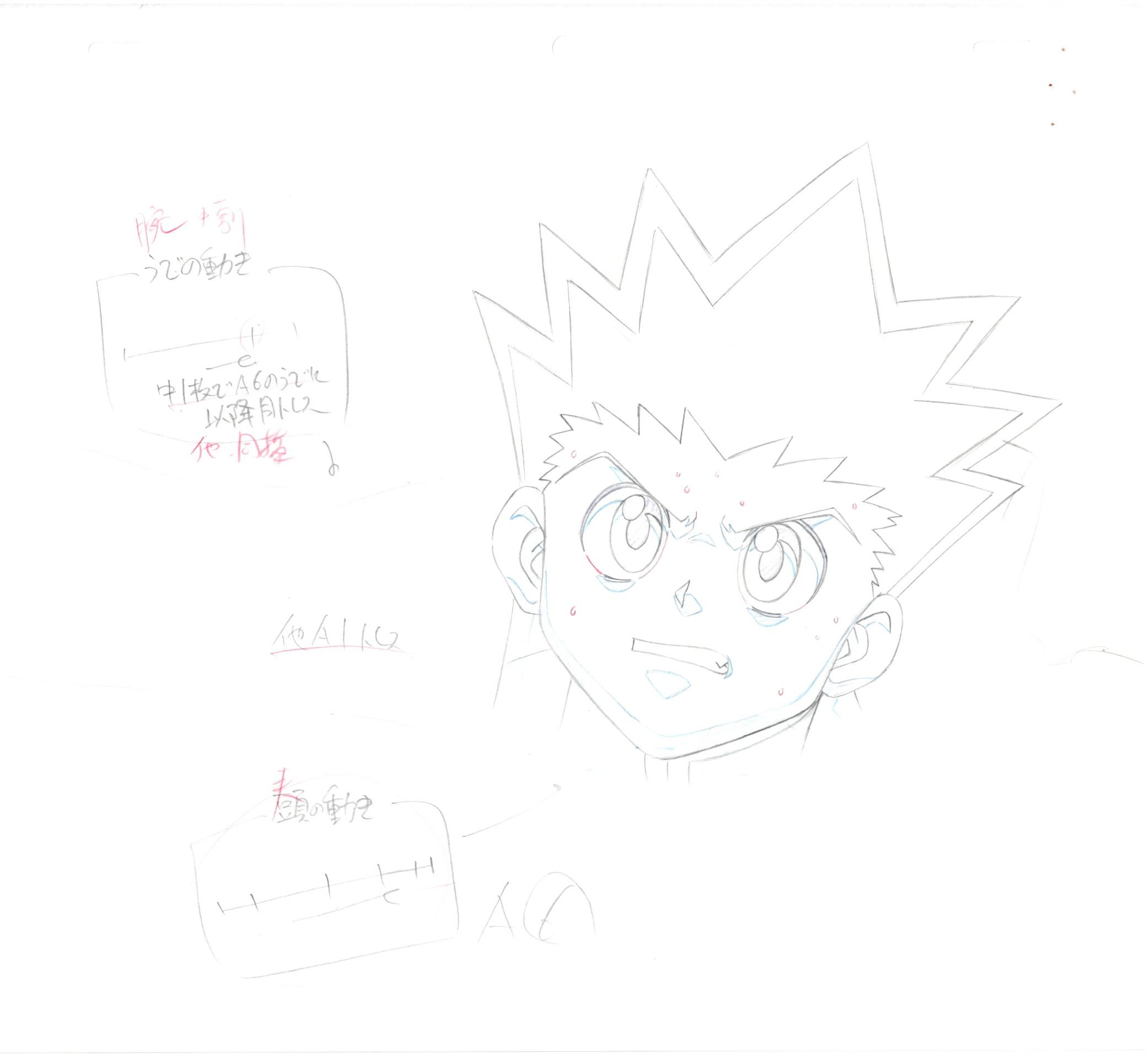 Hunter x Hunter Original Drawing 8 pages Set (Gon)