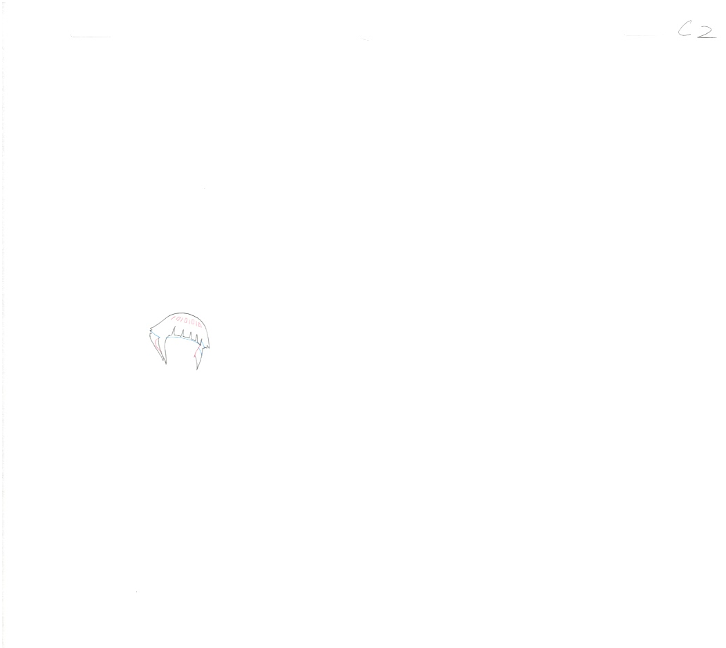 Naruto Original Sketch (Hinata) 6 page Set