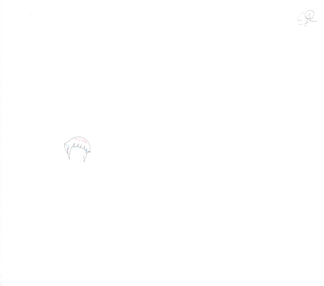 Naruto Original Sketch (Hinata) 11 page Set