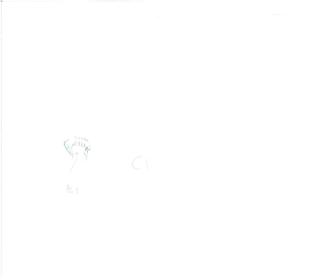 Naruto Original Sketch (Hinata) 11 page Set