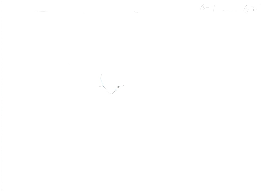 YuYu Hakusho Two Shots Original Sketch (Kurama vs Hiei) 19 page Set