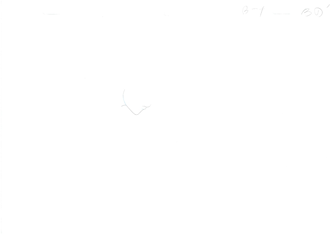 YuYu Hakusho Two Shots Original Sketch (Kurama vs Hiei) 19 page Set