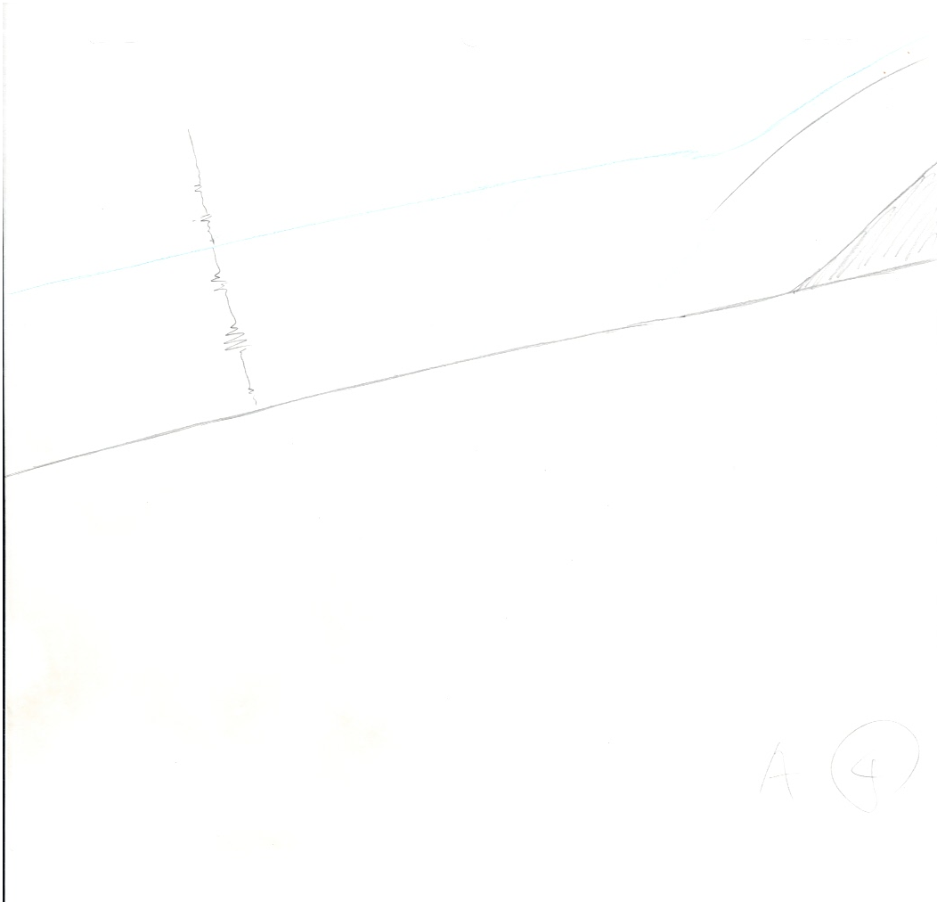 Pokémon Original Sketch (Arbok) 5 Page Set