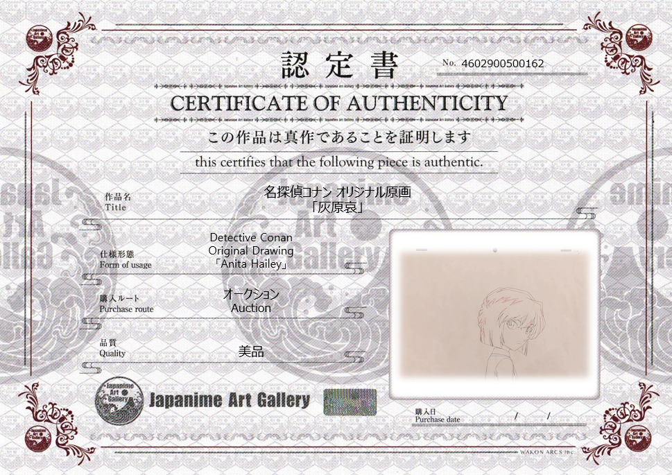 名侦探柯南原画（灰原哀）