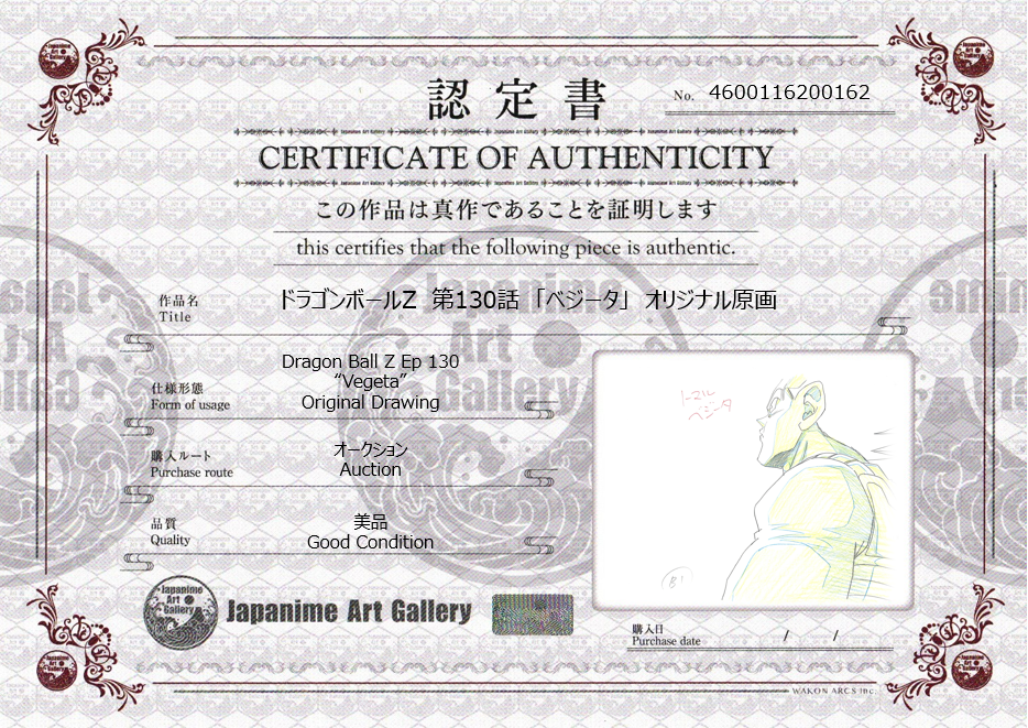 Dragon Ball Z Original Drawing (Vegeta)