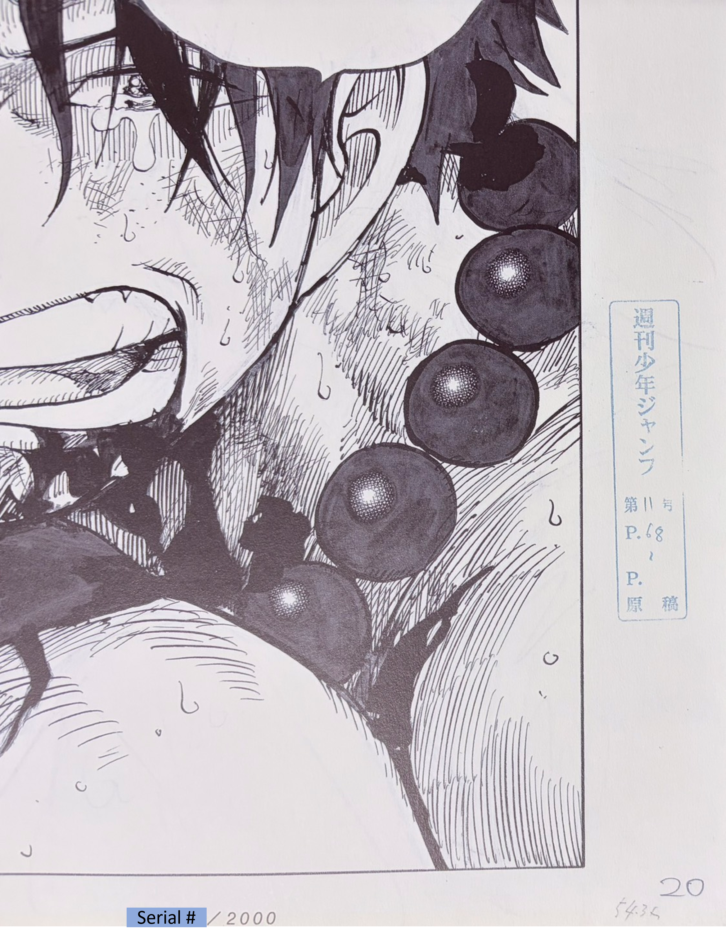 One Piece Numbered Limited Lottery Prize Reproduction (Ace & Luffy)