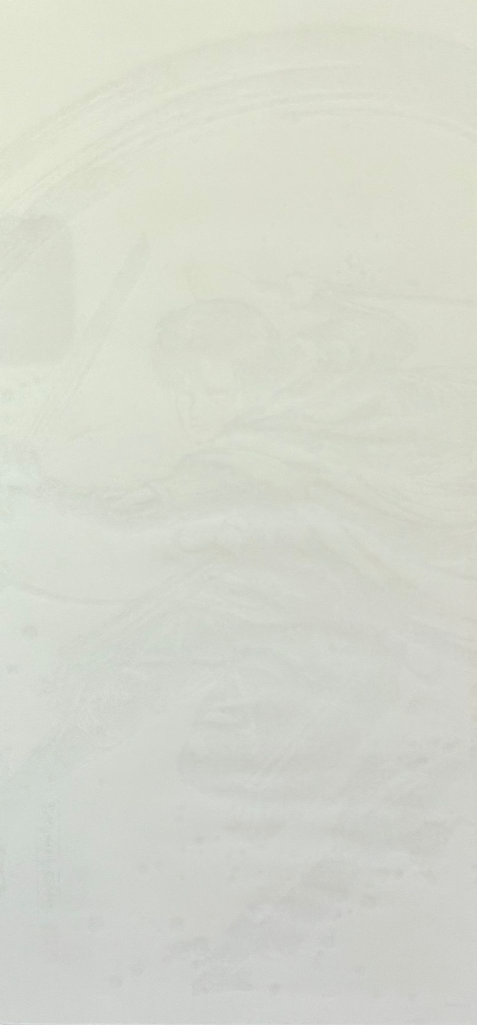 Attack on Titan Sumi-e Limited Reproduction (Levi Ackerman)