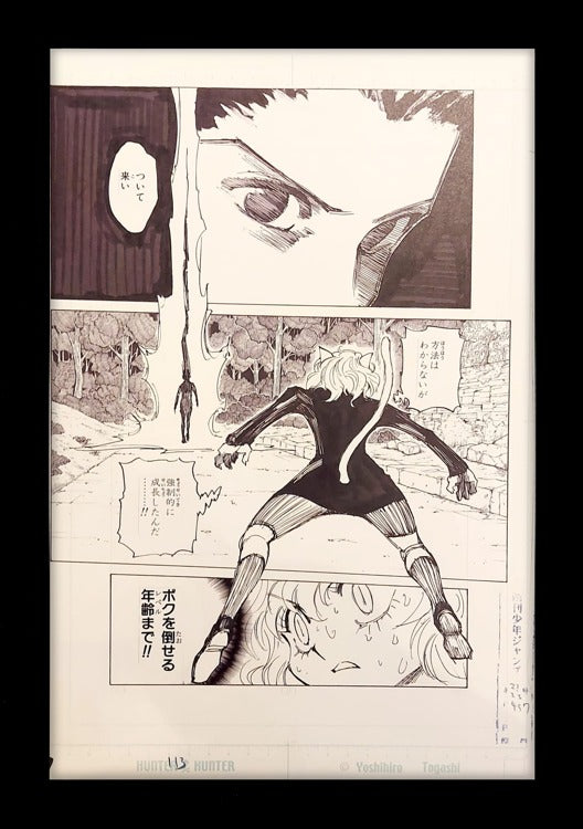 Hunter x Hunter Limited Reproduction (Gon Vs. Neferpitou)