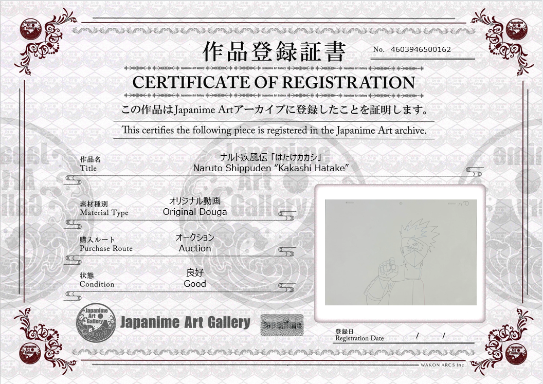 Naruto Shippuden Original Douga (Kakashi Hatake)
