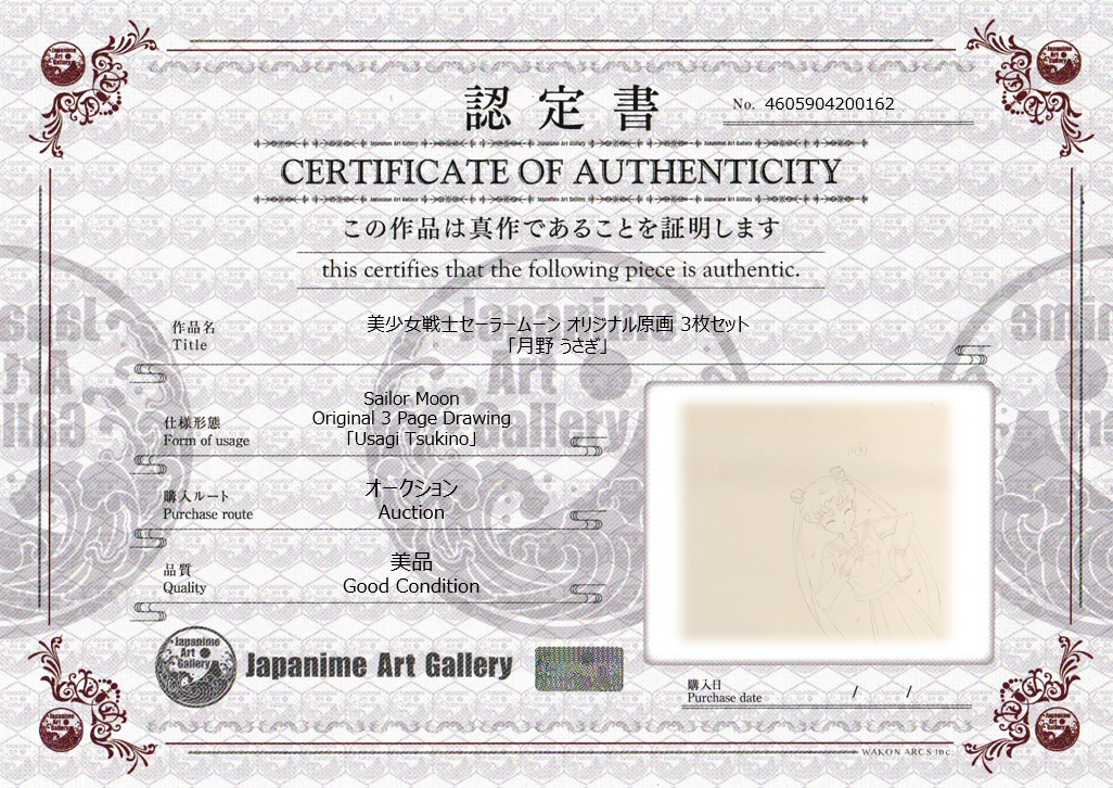 Sailor Moon Original Drawing (Serena Tsukino)