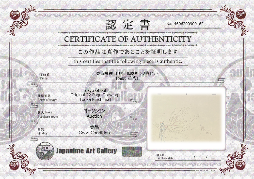 Boceto original de Tokyo Ghoul (Kirishima Toka)