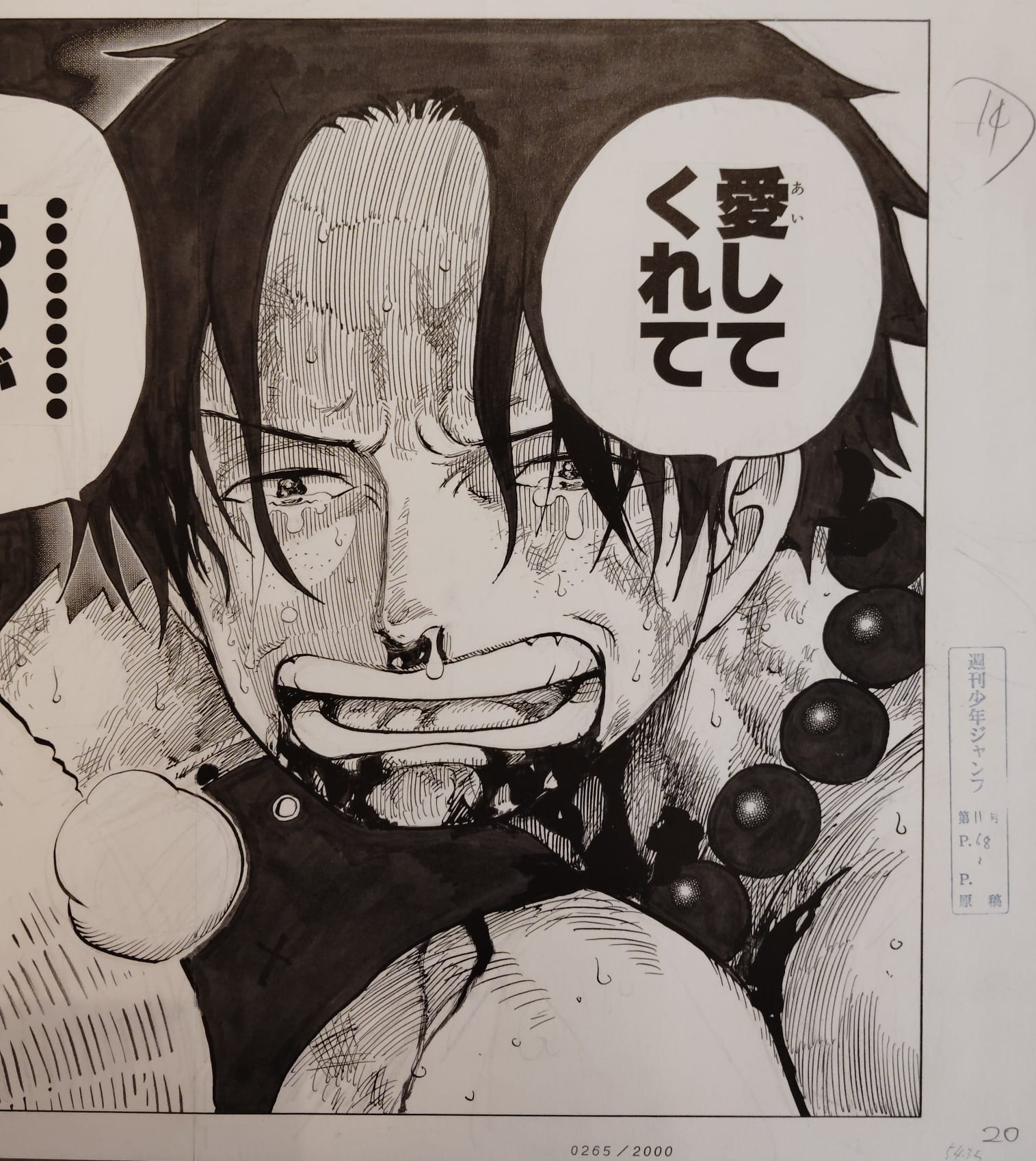 ONE PIECE Numbered Lottery Won Limited Reproduction (Ace Death) 0265/2000